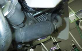 HONDA C50 SUPER CUB 2021 AA09