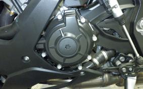 BMW S1000RR M DDC 2025