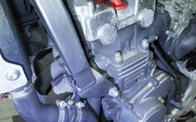 HONDA HORNET 250 MC31