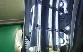 YAMAHA WR250X 2020 DG15J