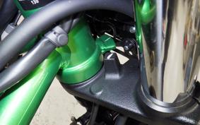 KAWASAKI Z650 A 2025 ER650S