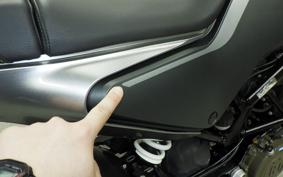 HUSQVARNA SVARTPILEN 250