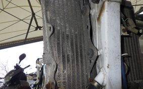 HONDA CRM250R GEN 2 MD24