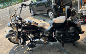 HARLEY HARLEY FLSTC 2008 BW5