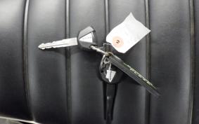 KAWASAKI W800 2025 EJ800E