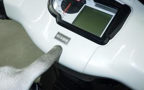 OTHER +DERBI RANﾌﾞﾗ250I 2018