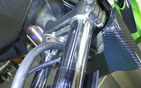 KAWASAKI ZRX1200 D 2012 ZRT20D