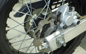 OTHER +UNREGISTERED MODEL by BDS125 2025