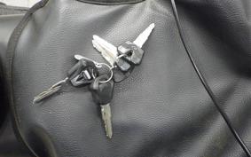 TRIUMPH TRIDENT 660 2021