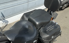 HARLEY FLSTC 2014 BW5