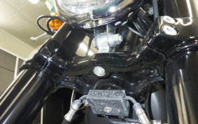 HARLEY XL1200CX 2020
