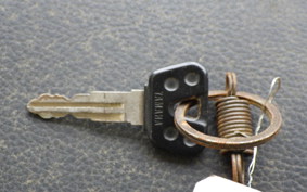 YAMAHA VIRAGO 250 3DM