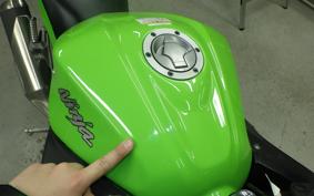 KAWASAKI NINJA 250 EX250L