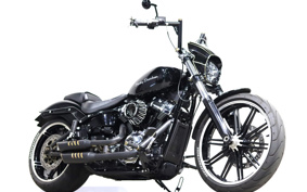 HARLEY FXBRS 2020 YHK