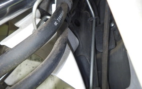 HONDA LEAD 110 2026 JF19
