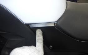 KAWASAKI Z250 2021 ER250C