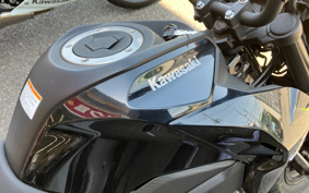 KAWASAKI Z125 PRO BR125H