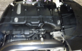 HARLEY RH975 2022