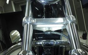 HARLEY L1200LI 2010