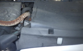 YAMAHA VINO 50 2020 SA54J