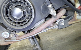 SUZUKI ADDRESS V50 G 2019 CA44A