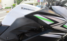 KAWASAKI Z250 ER250C