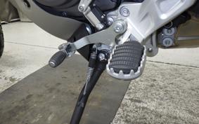 DUCATI DESSERT X 2024