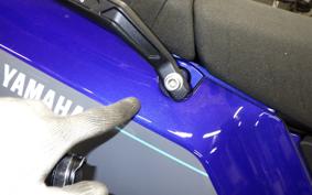 YAMAHA TENERE 700 2025 DM13J