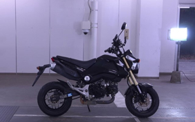 HONDA GROM