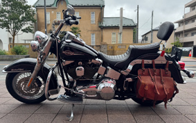 HARLEY FLSTC 2006 BJY