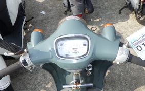 SUZUKI VERDE CA1MA