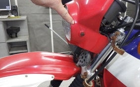 HONDA XL250R PARIS-DAKAR MD03