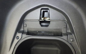 HONDA PCX125 2025 JK05