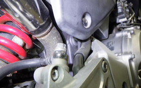 HONDA HORNET 250 2024 MC31