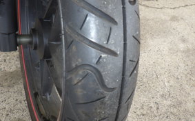 OTHER +ﾒｶﾞﾘ250R