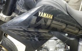 YAMAHA WR250X DG15J