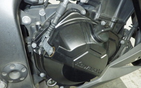 KAWASAKI Z250 2021 ER250C