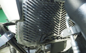 SUZUKI Vｽﾄﾛｰﾑ650 2009