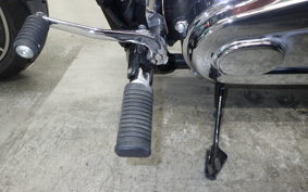 HARLEY FLSB 1750 2019