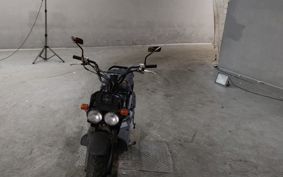HONDA ZUMAR AF58