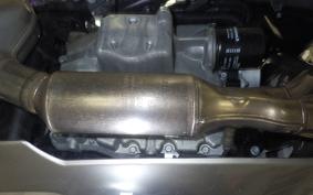 KAWASAKI NINJA 1000 SX 2024 ZXT02K