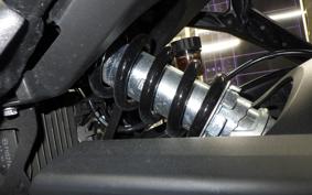 TRIUMPH TRIDENT 660 2021