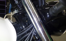 KAWASAKI W230 2025 BJ230A