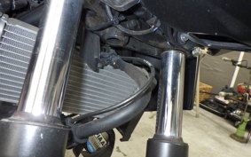 HONDA CB250FA 2012 MC43