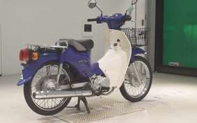 HONDA C110 SUPER CUB 2007 JA07