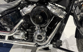 HARLEY FXST1340-1450 2022 BVJ