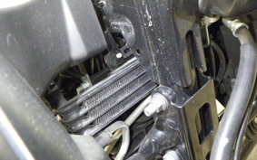 YAMAHA FZ25