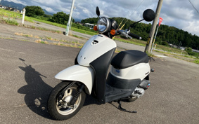 HONDA TODAY AF67