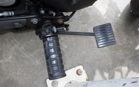 KAWASAKI VULCAN 650 SA 2019 EN650G