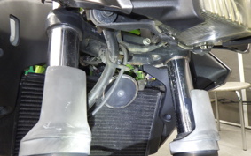 KAWASAKI Z250 SL BR250E